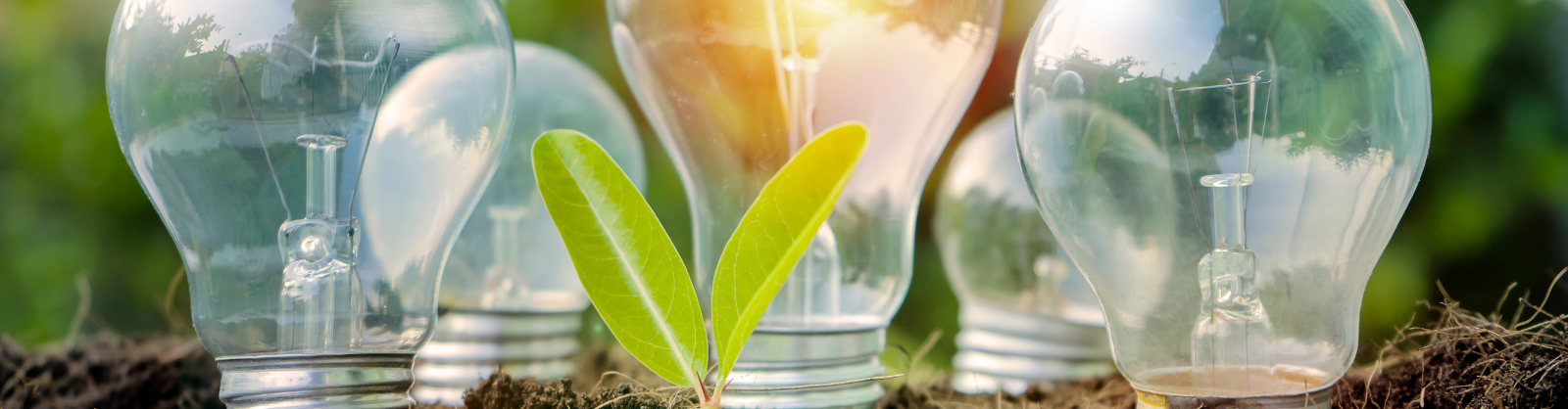 Master en Energie et Environnement